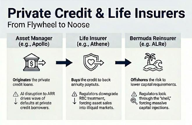 私募信贷与人寿保险公司:从飞轮到绞索